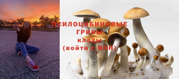 шишки Алексеевка